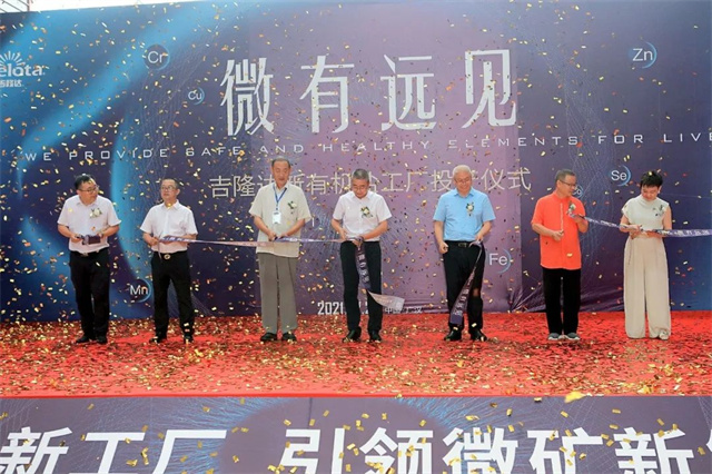 pp����ģ��������