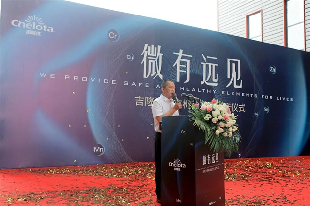 pp����ģ��������