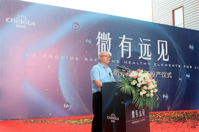 pp����ģ��������