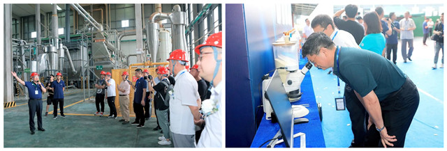 pp����ģ��������