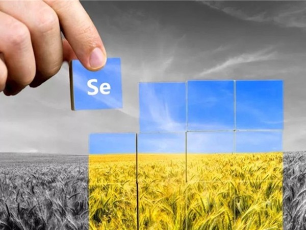 �������Ӽ�