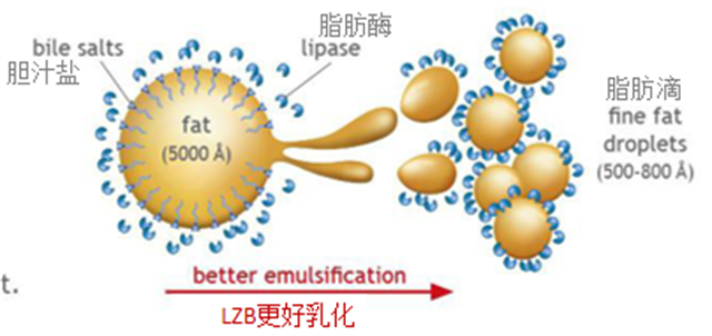 �������Ӽ�