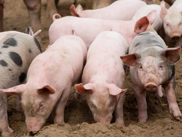 �＾������Ҫע��ʲô���������ƺ���Ҫ��һ��Ҫ�������ĵ�