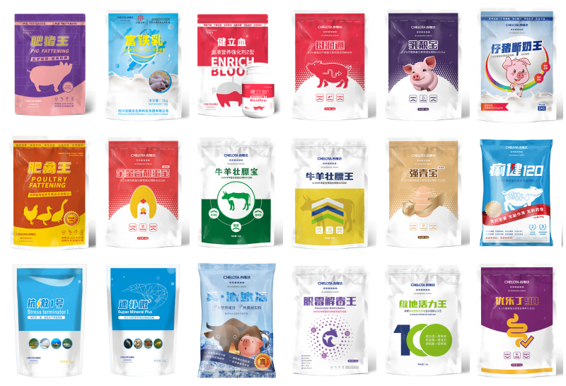 �Ĵ�pp����ģ������������Ƽ��������޹�˾