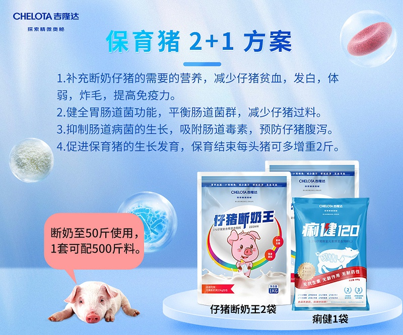 ������2+1����