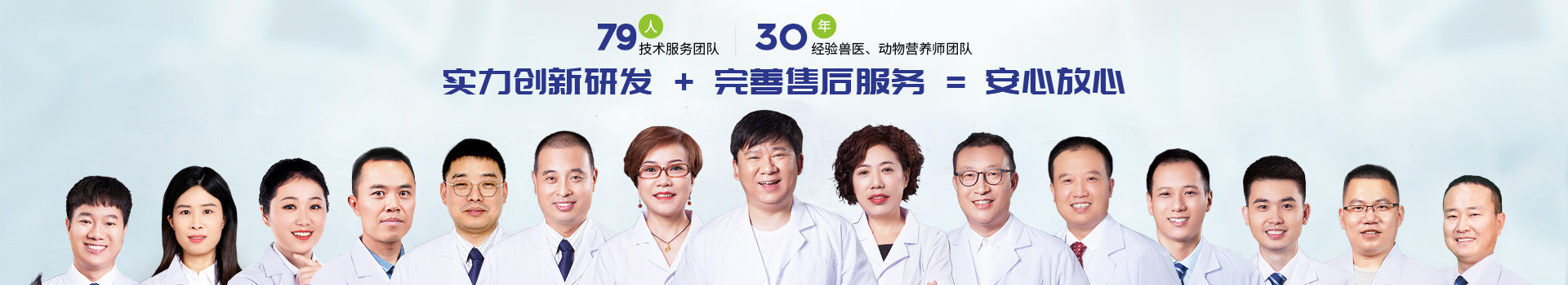 pp����ģ��������-��������