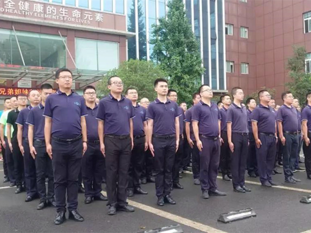 pp����ģ�������������ܽ��