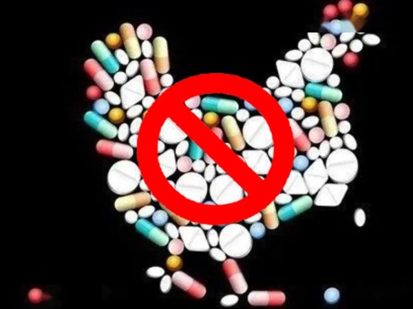 ��������������ϲ�ǲΰ룻�����Ż��������ƽ�������������