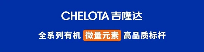 pp����ģ������������