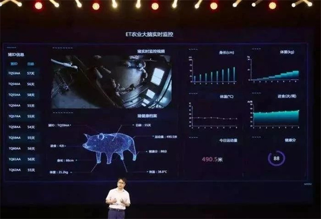 ������ҵ���ڵ�����