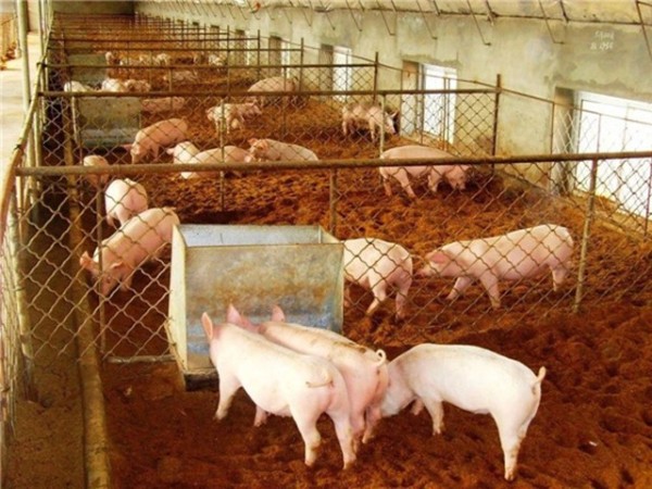 ����Ӧ�������ح�ڶ����� �Ż���������