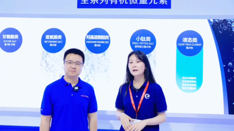 pp����ģ���������ܲ������������������ý�ɷ�