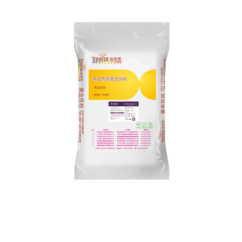 pp����ģ���������������������Ӽ�������