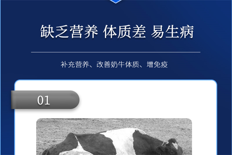 pp����ģ������������ţ�������Ӽ���ţ����Ʒ����