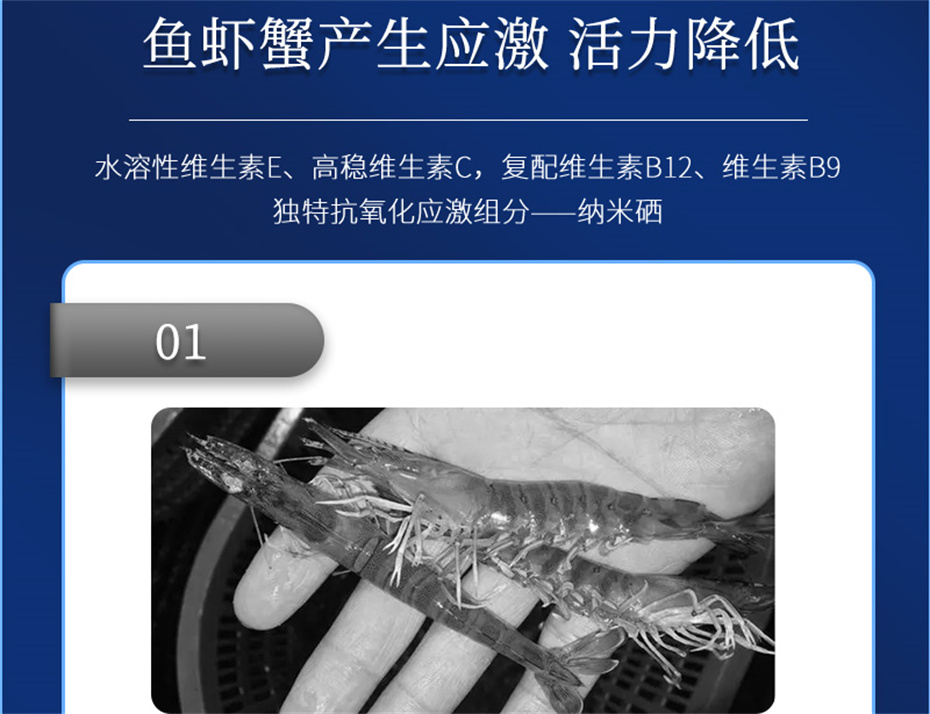 pp����ģ������������ˮ���������Ӽ�����1�Ų�Ʒ����