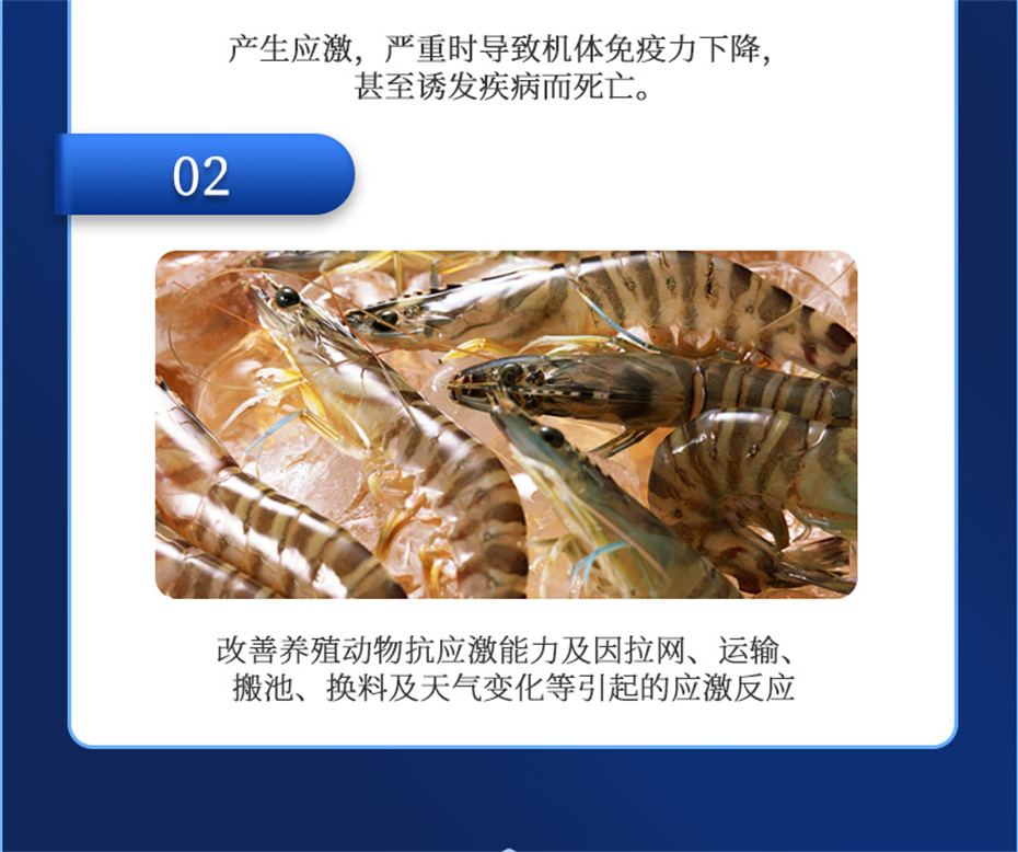 pp����ģ������������ˮ���������Ӽ�����1�Ų�Ʒ����