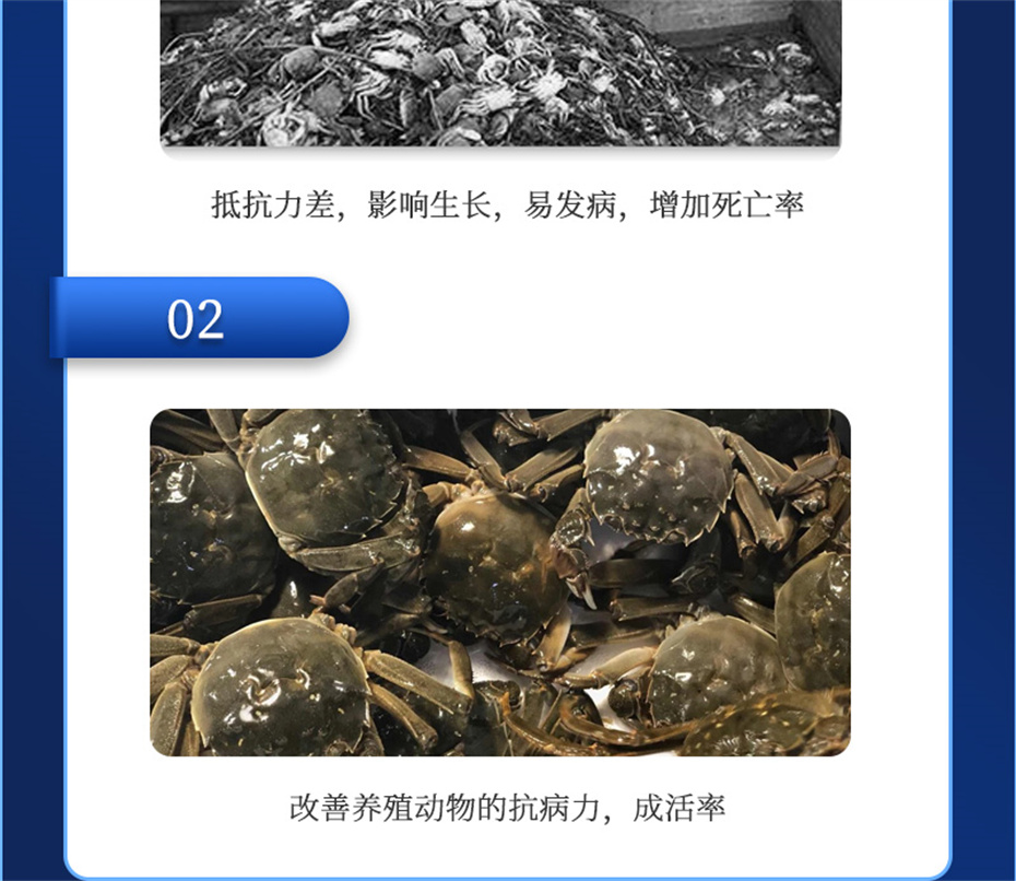 pp����ģ������������ˮ���������Ӽ�����1�Ų�Ʒ����