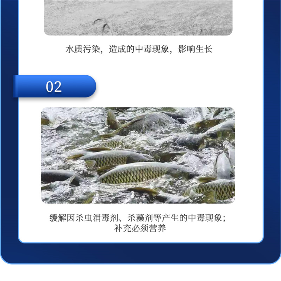 pp����ģ������������ˮ���������Ӽ�����1�Ų�Ʒ����