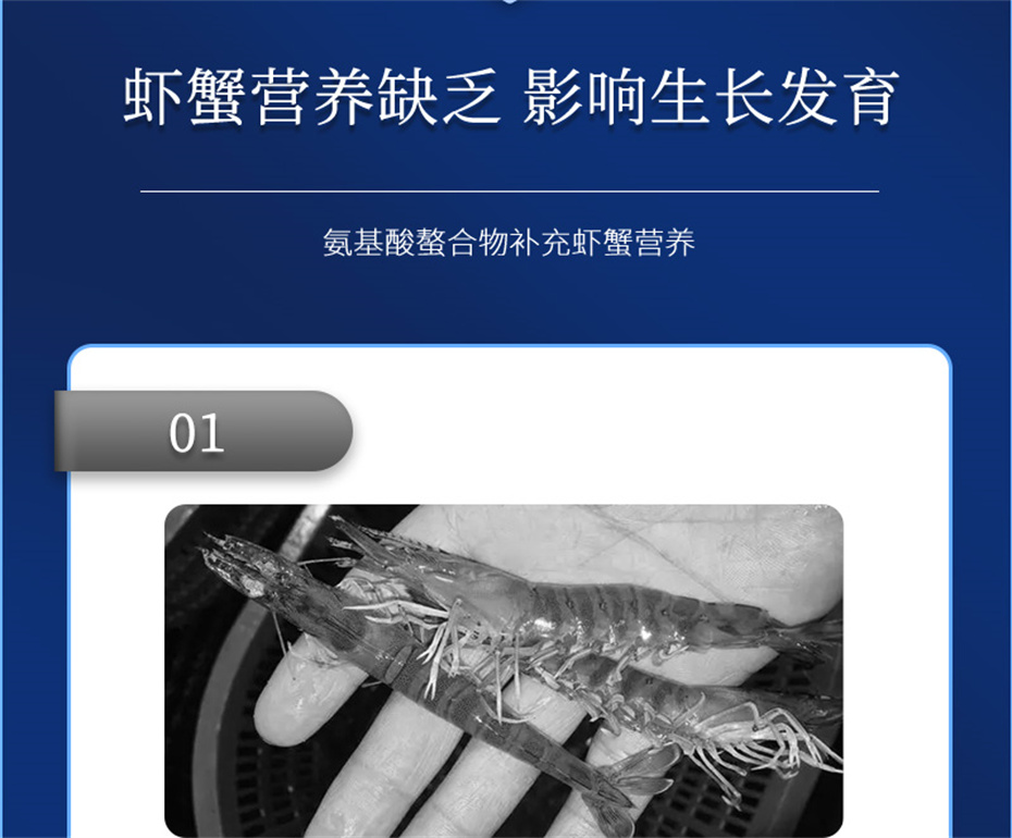 pp����ģ������������ˮ���������Ӽ�Ϻ������Ʒ����