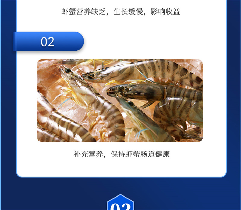 pp����ģ������������ˮ���������Ӽ�Ϻ������Ʒ����