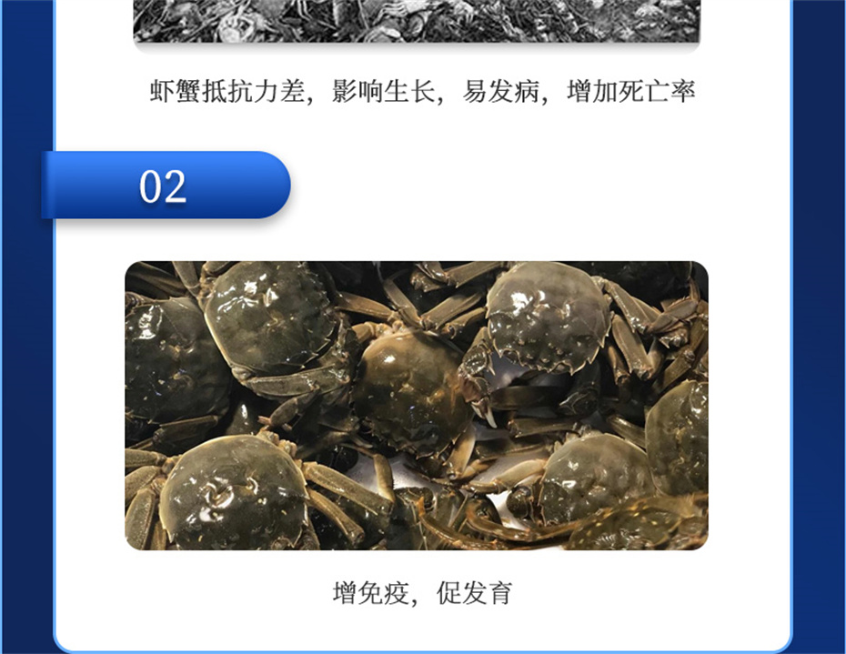 pp����ģ������������ˮ���������Ӽ�Ϻ������Ʒ����