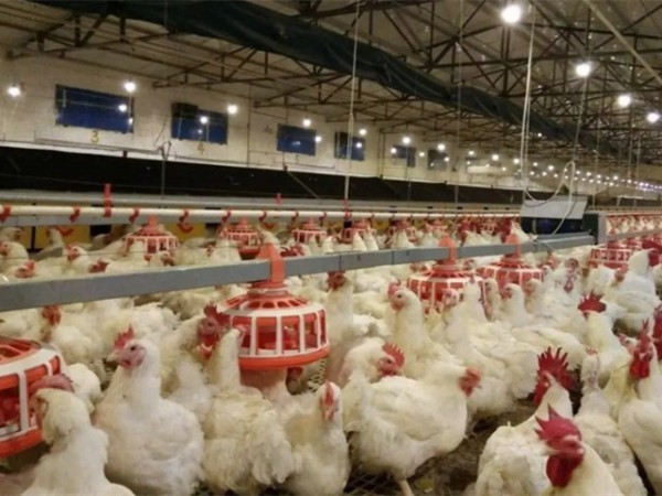 ���Ԥ�����������ۺ���