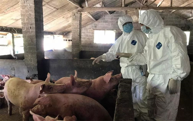 ���������ж�֪ͨ