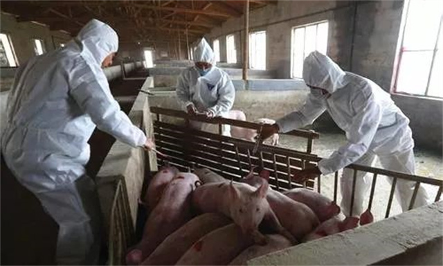 ���������ж�֪ͨ