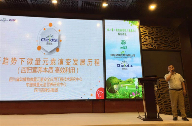 ����Ӫ������ɳ��