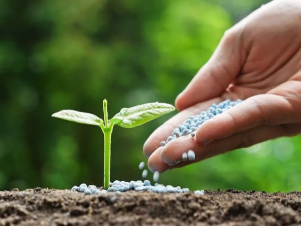 �߲������ʩ����