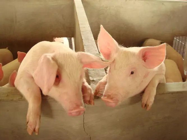 ������к