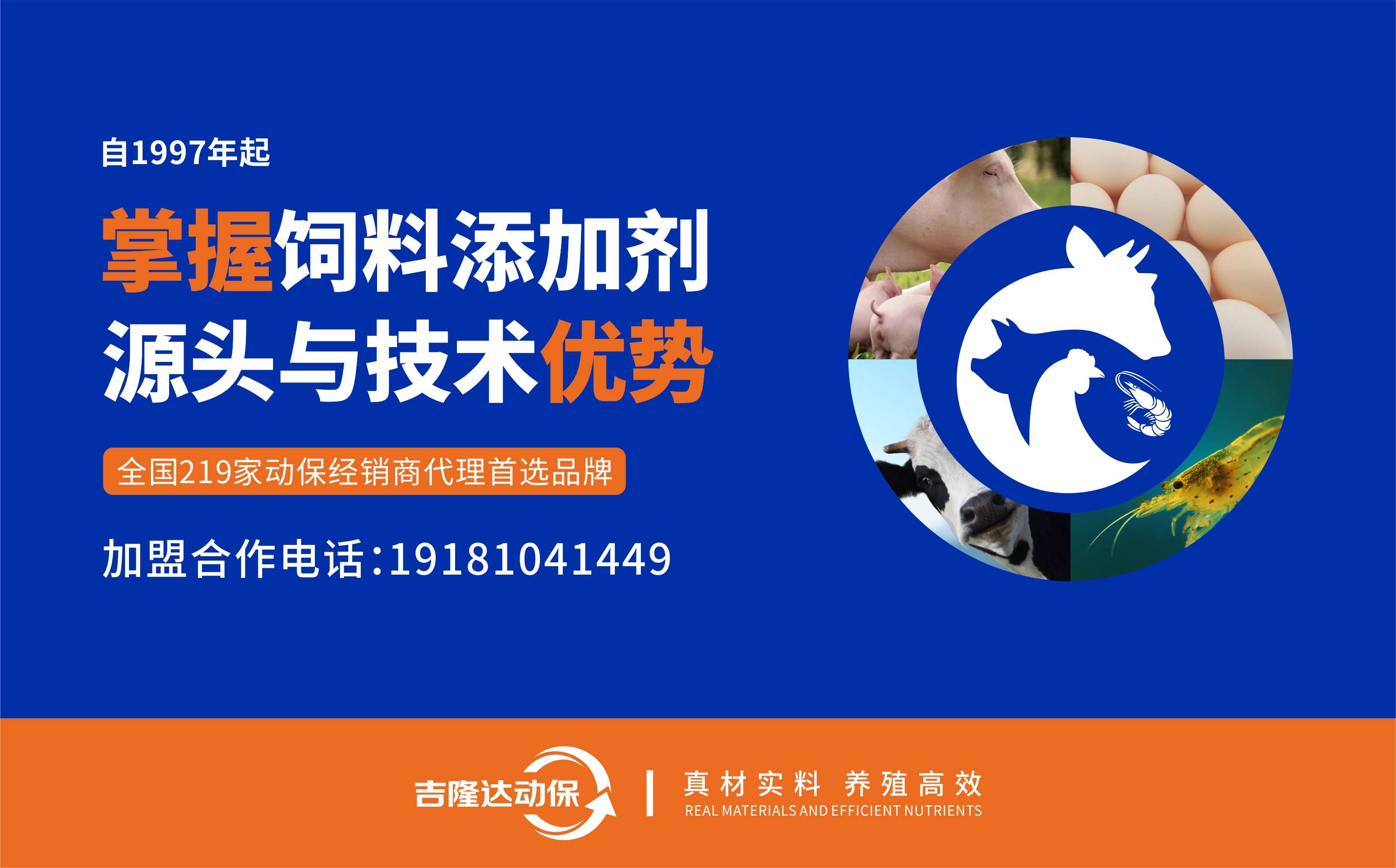 pp����ģ�������������������Ӽ�����