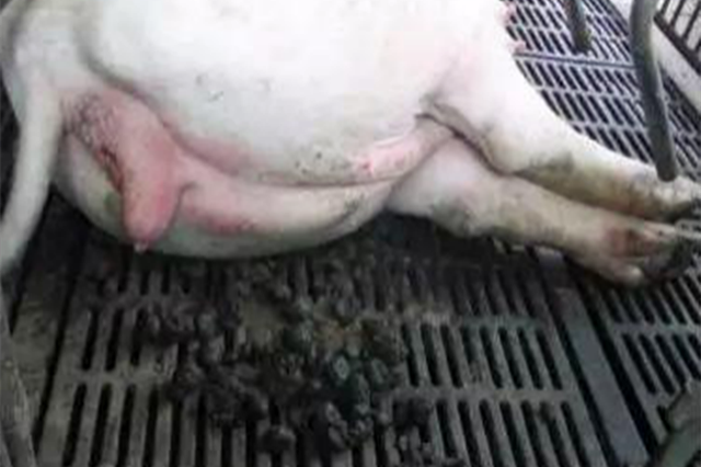 ĸ�����ص�ԭ��