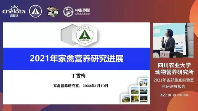 ��ѩ÷����������