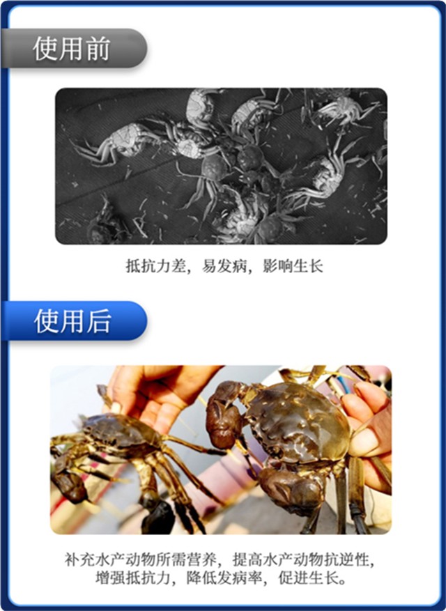 �л�΢��Ԫ���ٲ�΢��Ϻ����Ч��