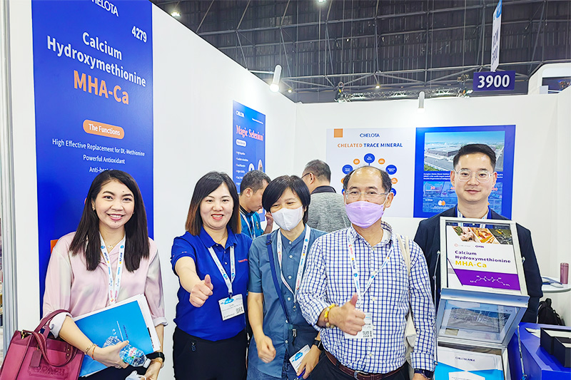 pp����ģ����������չVIV-ASIA