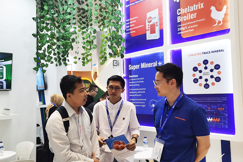 pp����ģ����������չӡ���������չ