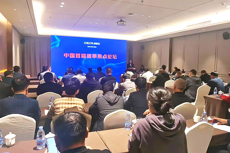 pp����ģ�������������й��׽쵰�½�����̳