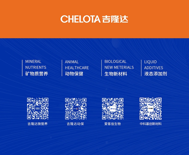 pp����ģ������������