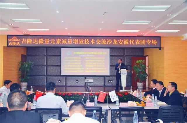 ����������ҵ�ι��л�΢��Ԫ�س���pp����ģ��������