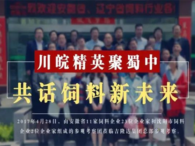 ����������ҵ�ι��л�΢��Ԫ�س���pp����ģ��������