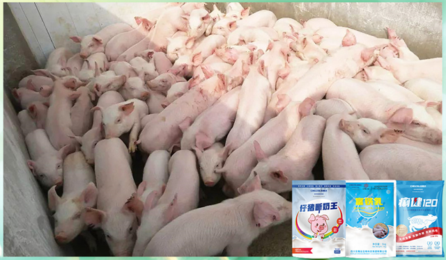 pp����ģ�������������������Ӽ�