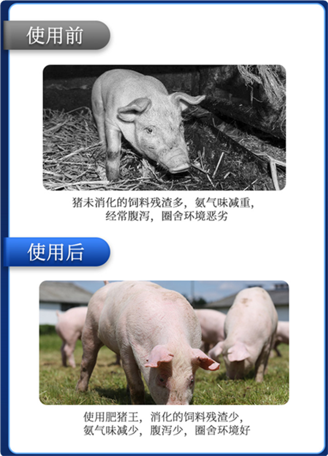 pp����ģ��������-������ʹ��Ч��