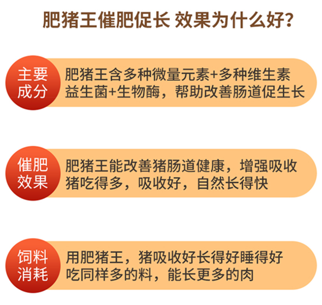 pp����ģ��������-������ʹ��Ч��Ϊʲô��