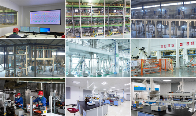 pp����ģ���������ǻ۹���