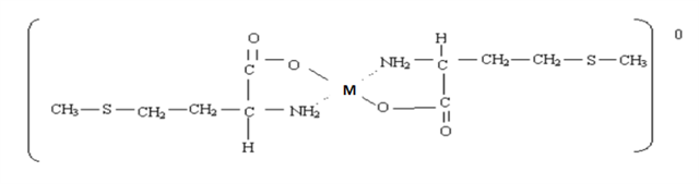 pp����ģ���������л�΢��