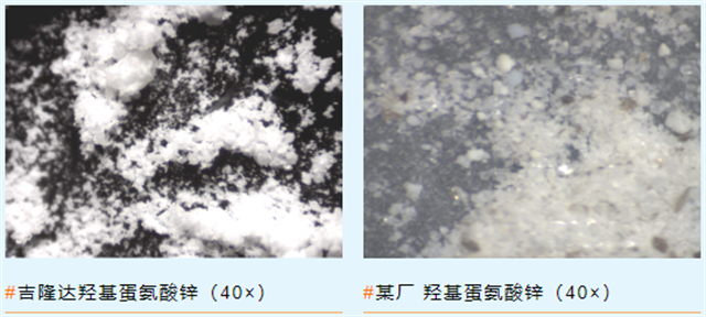 pp����ģ���������ǻ�������п