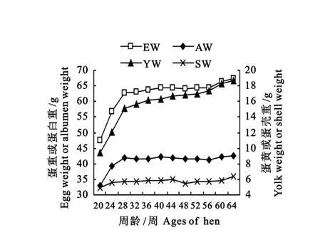 �������Ӽ�