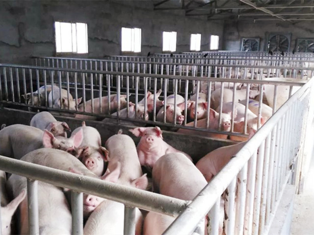 �й������г���ȴ��ܽ�