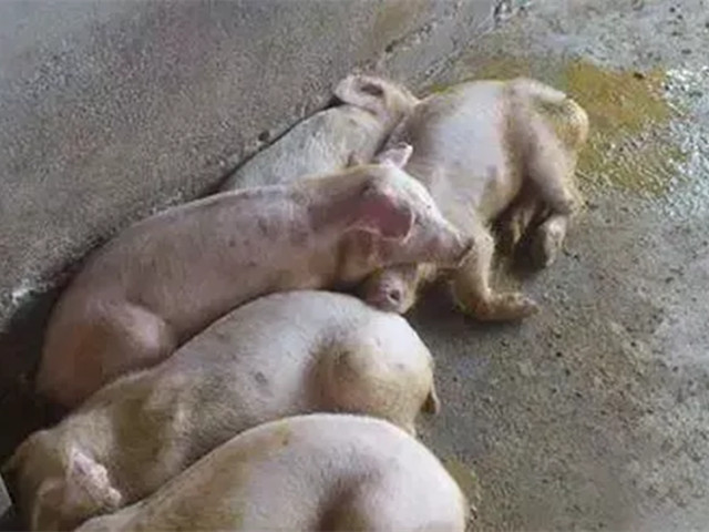 ������������2022�궬����������������к֢״�������������������ղأ�